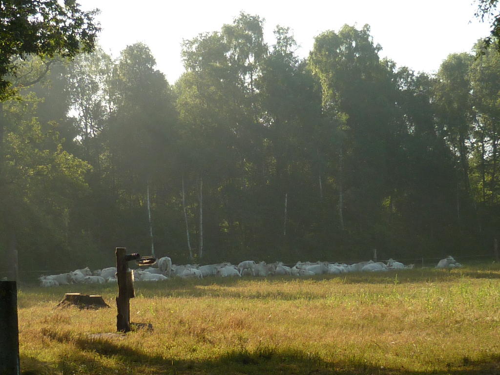 Ferienbauernhof Ennenhof